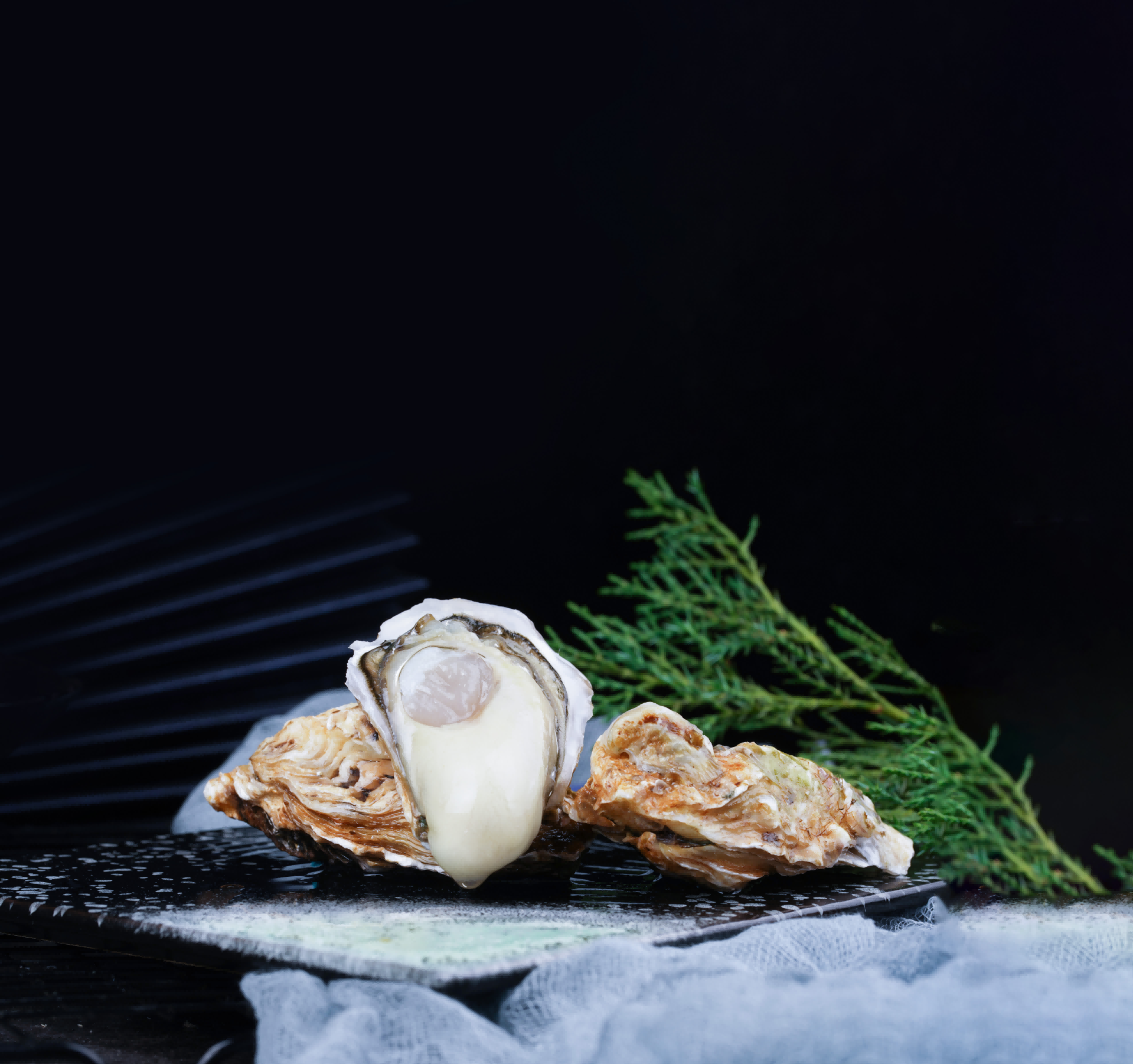Live Oyster 2